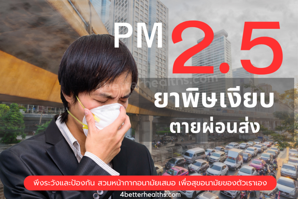 PM 2.5 ยาพิษเงียบใกล้ตัวเรา ฟาดเรียบตายผ่อนส่ง