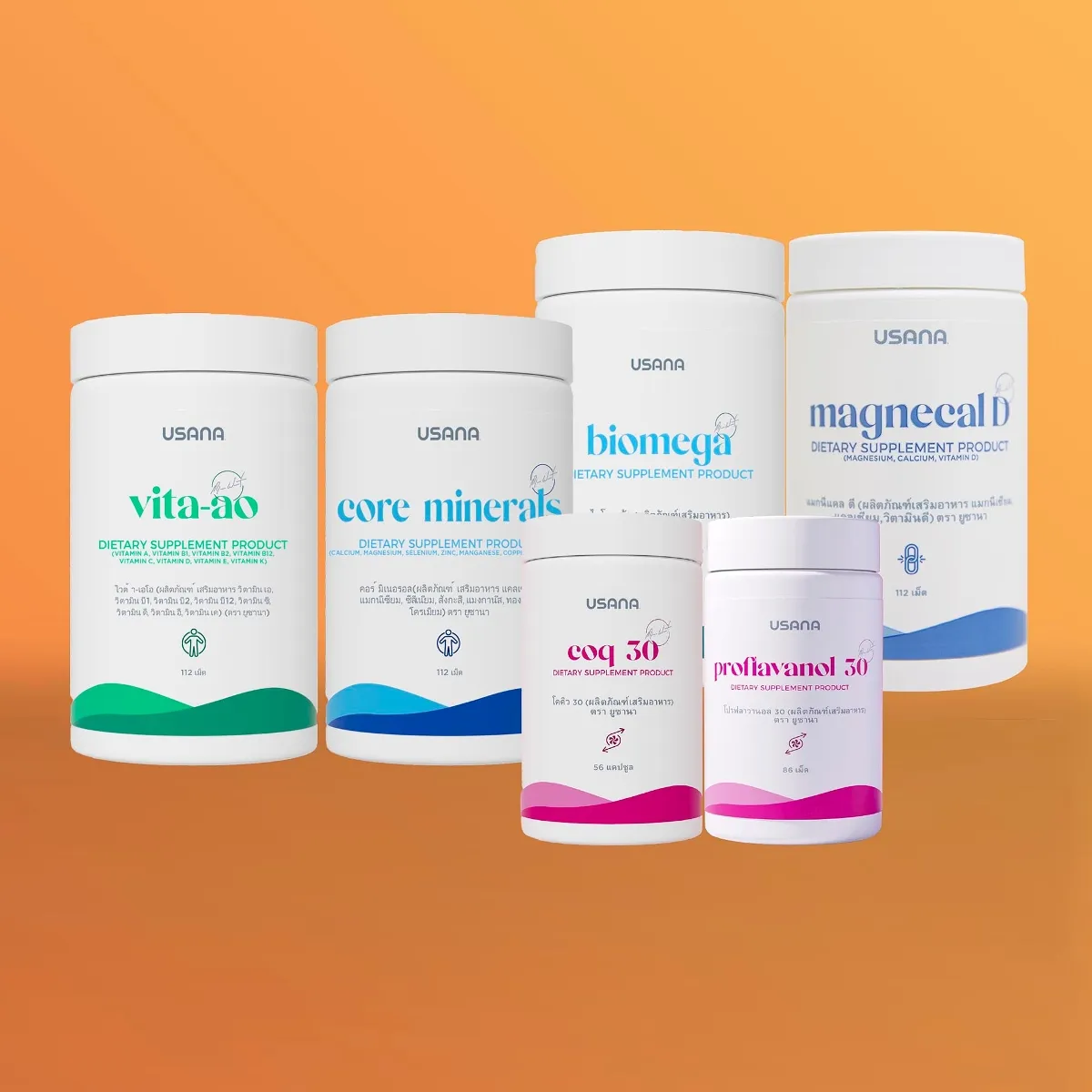 Energy Kit Lite แพคพลังงานพื้นฐาน